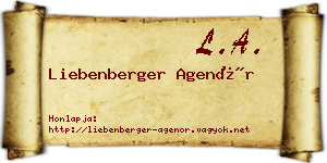 Liebenberger Agenór névjegykártya